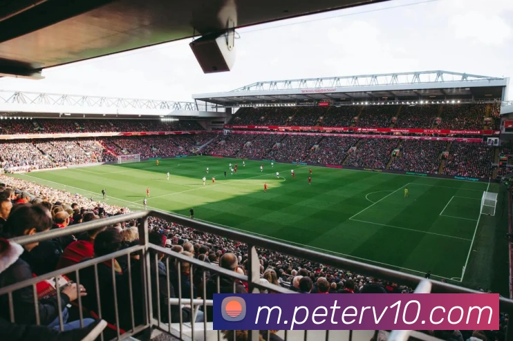 乐动在线官网品牌故事